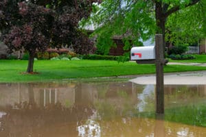 Flood Plain