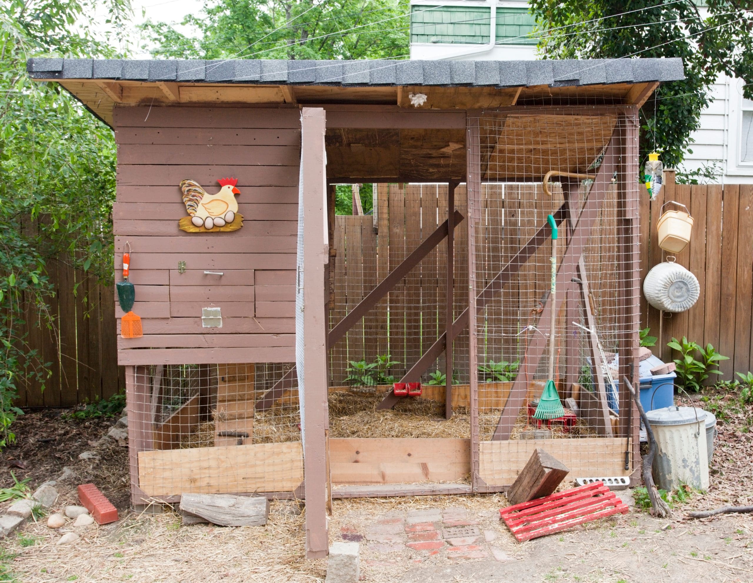 Can I Raise Chickens in My Yard? Richard Stevens & Associates, Inc.