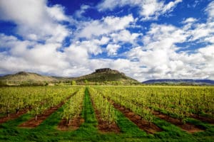 Oregon Land Use Regulations for Wineries